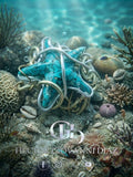 The Grotto Star
